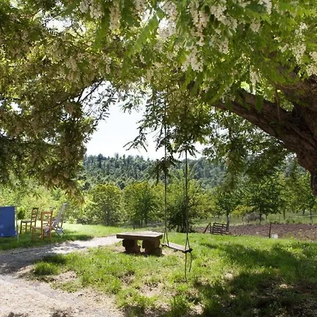 Casa Anita *